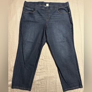 Terra and Sky pull on jeans size 2X 20-22W